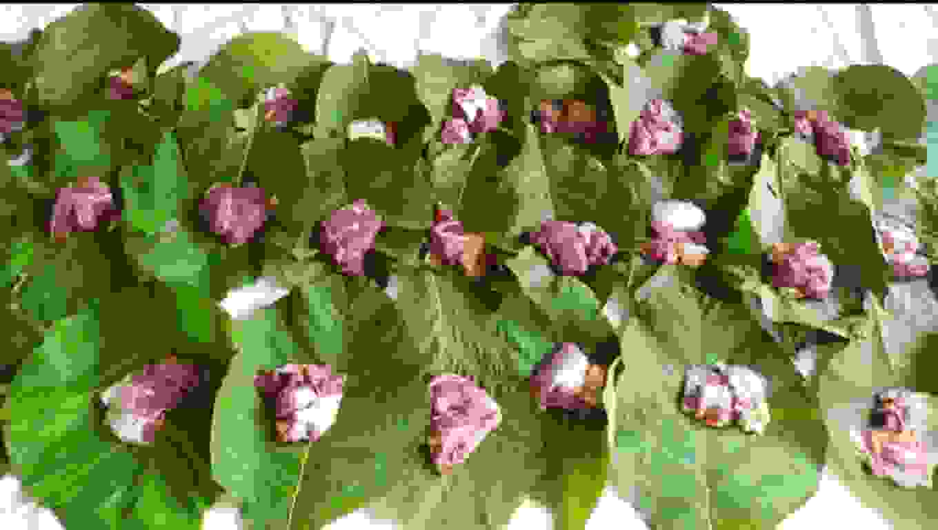 Bungkus Daging Qurban dengan Daun Jati