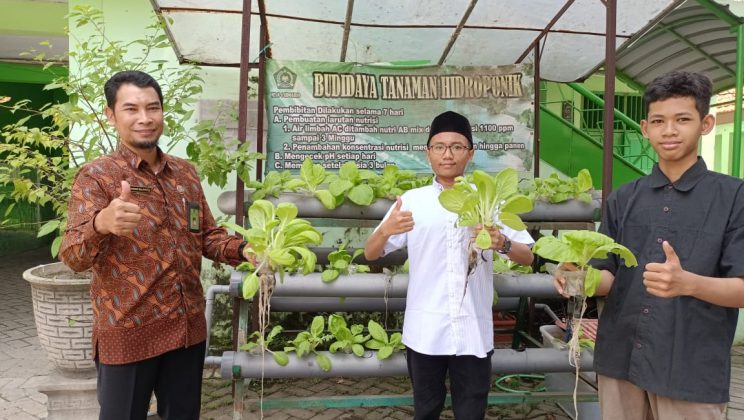 MTsN 4 Sidoarjo Cetak Siswa Enterpreneur dengan Budidaya Sayuran Hidroponik