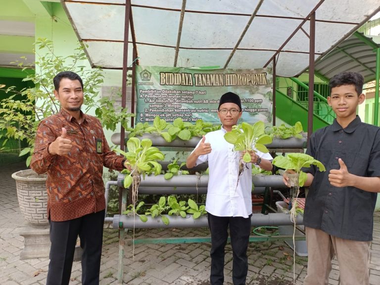 MTsN 4 Sidoarjo Cetak Siswa Enterpreneur dengan Budidaya Sayuran Hidroponik