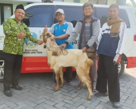 Kemenag Sidoarjo Hadirkan Cinta dan Kepedulian Sosial Melalui Berbagi Hewan Kurban