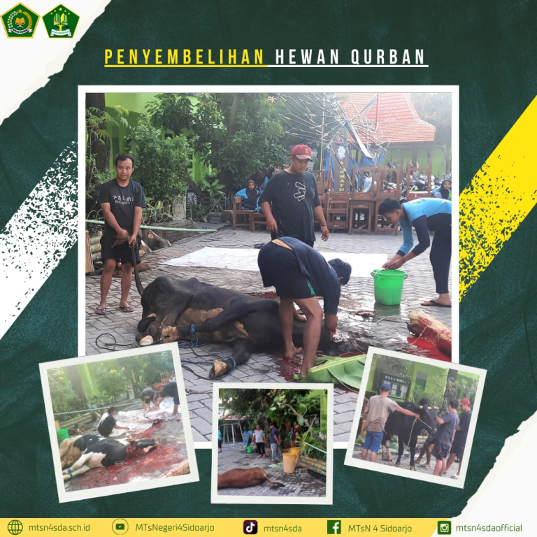 MTs Negeri 4 Sidoarjo Melaksanakan Kegiatan Penyembelihan Hewan Qurban