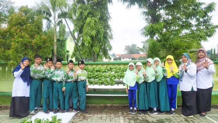 Peserta Didik MIN 1 Sidoarjo Sukses Panen Pakcoy Hidroponik, Belajar Cinta Lingkungan dan Jadi Pengusaha Kecil