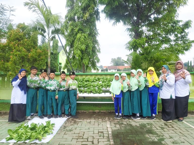 Peserta Didik MIN 1 Sidoarjo Sukses Panen Pakcoy Hidroponik, Belajar Cinta Lingkungan dan Jadi Pengusaha Kecil