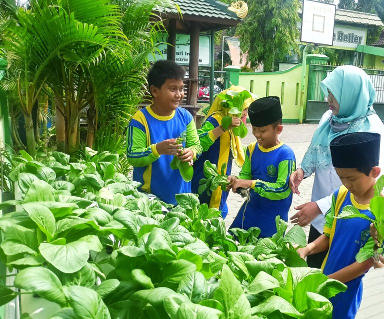 Inovasi Hijau di MIN 1 Sidoarjo: Konservasi AC dan Air Hujan Jadi Berkah Peserta Didik dalam Panen Pakcoy Hidroponik