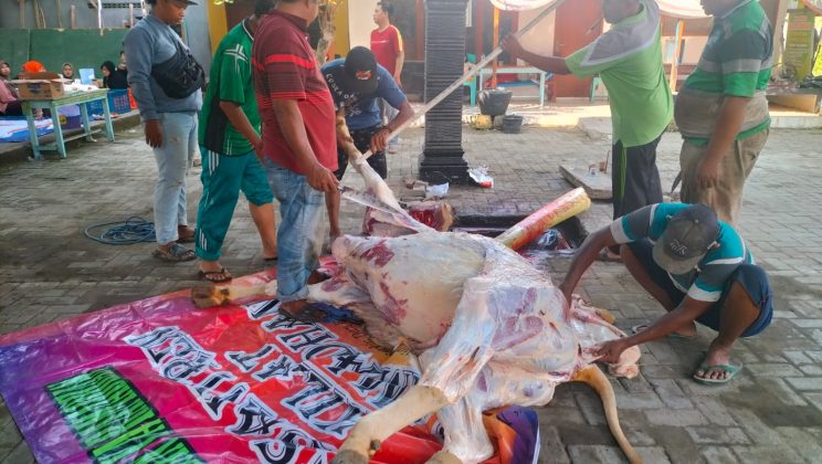 MIN 2 Sidoarjo Laksanakan Qurban 2025: Wujud Kepedulian dan Ibadah yang Bermakna