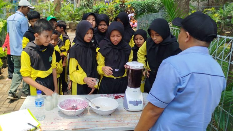 Dari Buku ke Alam: MIN 2 Sidoarjo Terapkan Pembelajaran Kontekstual di Pacet Mini Park