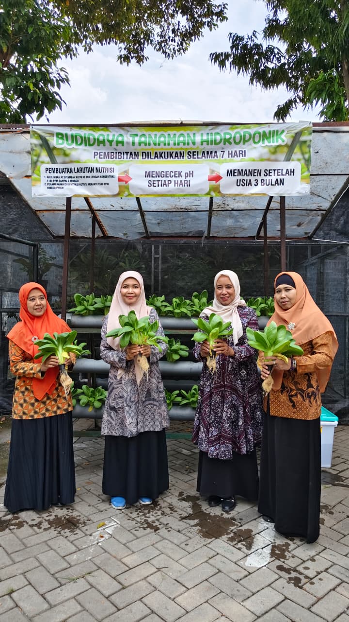 Panen Pakcoi Hidroponik : MTsN 4 Sidoarjo Wujudkan Sekolah Adiwiyata