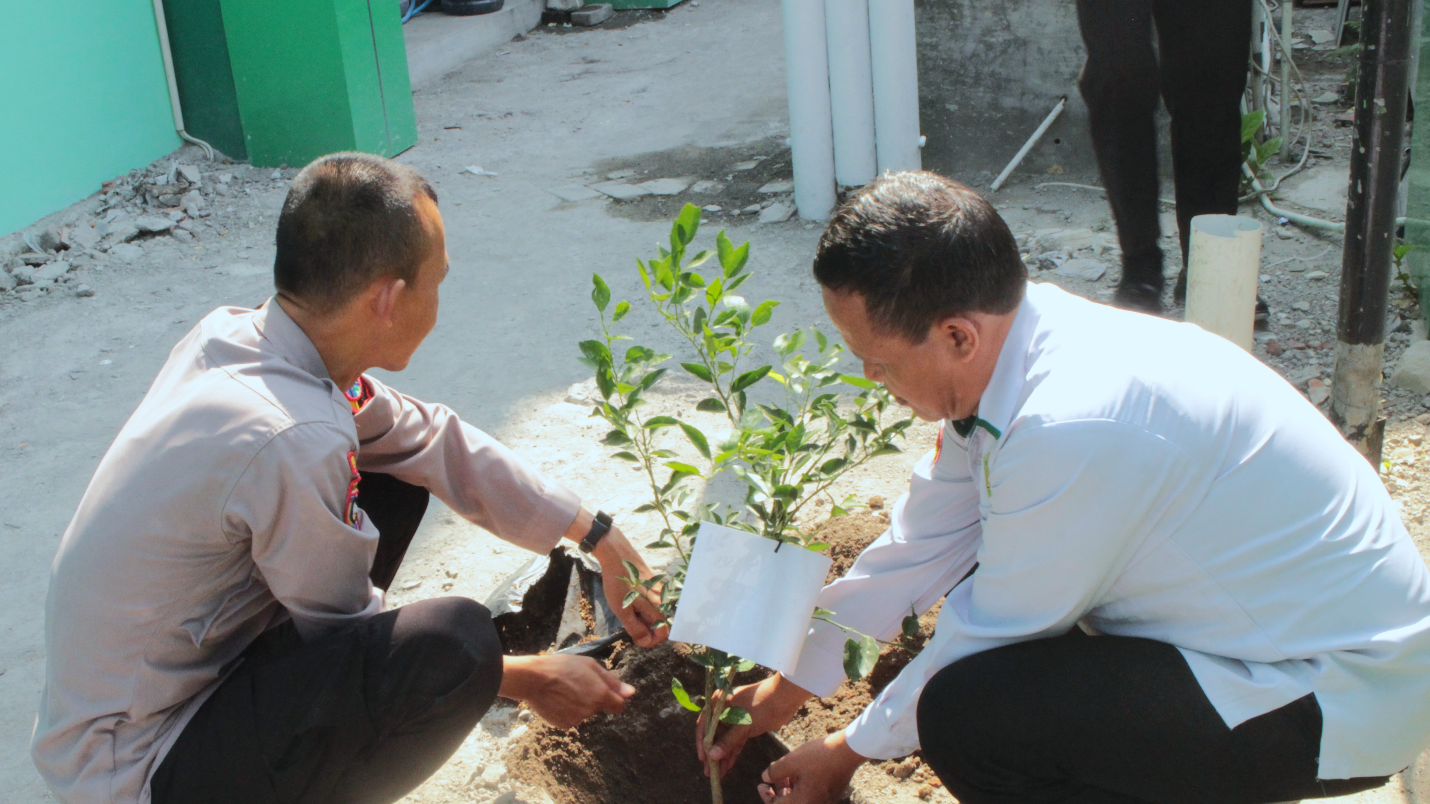 Penanaman pohon dari Polresta Sidoarjo di MAN Sidoarjo sebagai bagian program 100 hari Kapolri